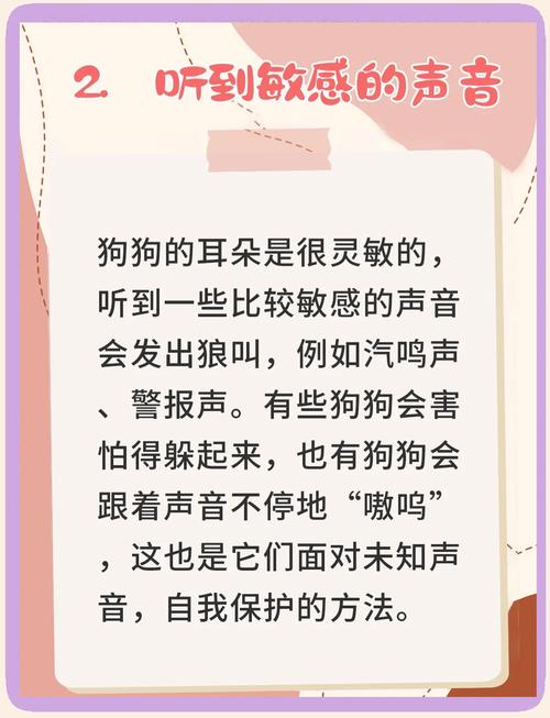 狗狗发出狼叫声的原因,狗狗发出狼叫声的原因分析-第6张图片-后鲨宠物 狗狗发出狼叫声的原因,狗狗发出狼叫声的原因分析-第6张图片-后鲨宠物