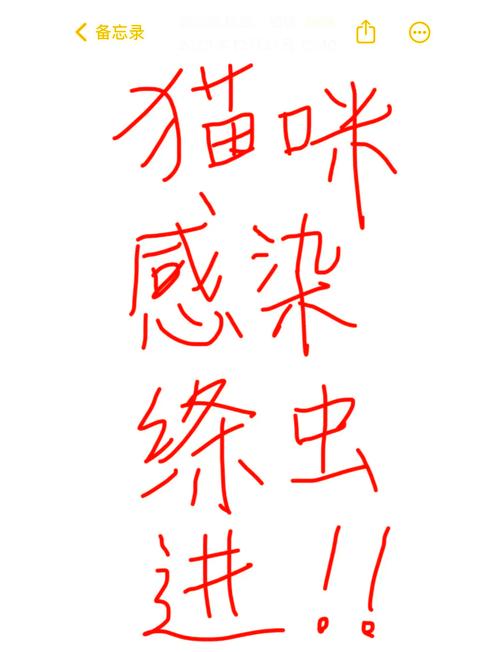 猫咪有绦虫吃什么药,猫咪绦虫吃什么药彻底根治?-第5张图片-后鲨宠物 猫咪有绦虫吃什么药,猫咪绦虫吃什么药彻底根治?-第5张图片-后鲨宠物