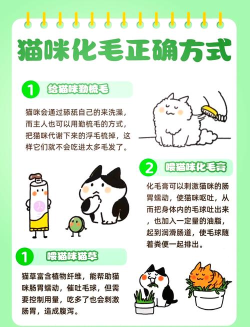 毛球症的猫咪怎么治疗，猫咪毛球症有哪些危害?怎么有效治疗?？-第4张图片-后鲨宠物