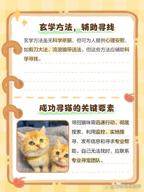猫咪丢失了怎么找回来,猫猫丢失有什么办法找回?-第4张图片-后鲨宠物 猫咪丢失了怎么找回来,猫猫丢失有什么办法找回?-第4张图片-后鲨宠物