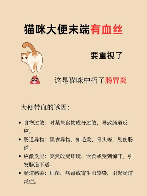 猫咪拉稀带血怎么回事,猫咪拉稀带血的原因-第2张图片-后鲨宠物 猫咪拉稀带血怎么回事,猫咪拉稀带血的原因-第2张图片-后鲨宠物