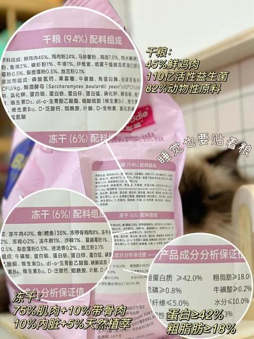 猫咪打完疫苗拉稀,猫咪打完疫苗拉稀呕吐-第6张图片-后鲨宠物 猫咪打完疫苗拉稀,猫咪打完疫苗拉稀呕吐-第6张图片-后鲨宠物