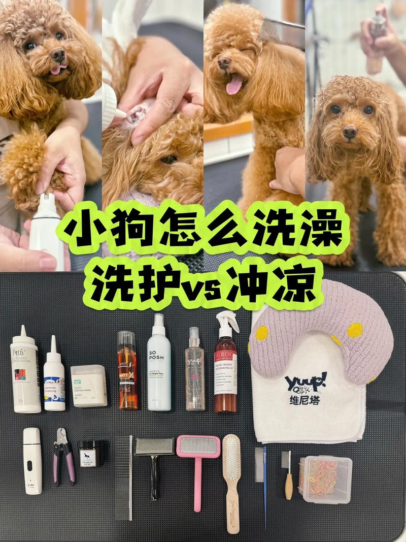 宠物店给狗狗洗澡流程,宠物店给狗狗洗澡流程视频?-第3张图片-后鲨宠物 宠物店给狗狗洗澡流程,宠物店给狗狗洗澡流程视频?-第3张图片-后鲨宠物