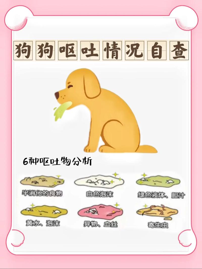 狗狗吃什么会吐,狗狗吃什么会吐血死亡?-第2张图片-后鲨宠物 狗狗吃什么会吐,狗狗吃什么会吐血死亡?-第2张图片-后鲨宠物