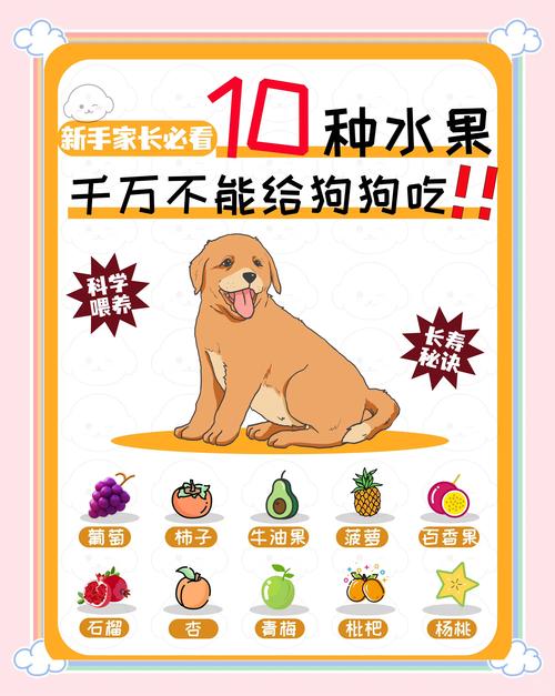 狗狗能吃李子吗,狗狗能吃李子吗有毒吗?-第6张图片-后鲨宠物 狗狗能吃李子吗,狗狗能吃李子吗有毒吗?-第6张图片-后鲨宠物