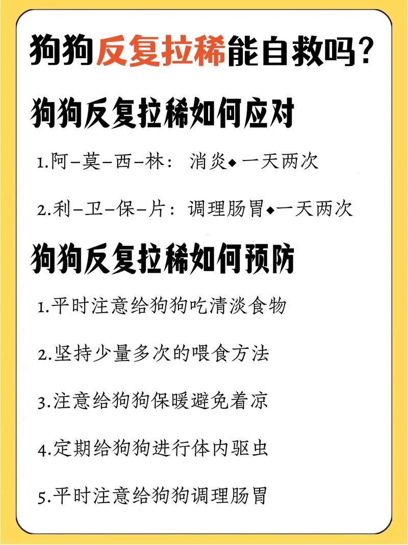 狗狗呕吐怎么办_刚买回来的狗狗呕吐怎么办-第6张图片-后鲨宠物 狗狗呕吐怎么办_刚买回来的狗狗呕吐怎么办-第6张图片-后鲨宠物