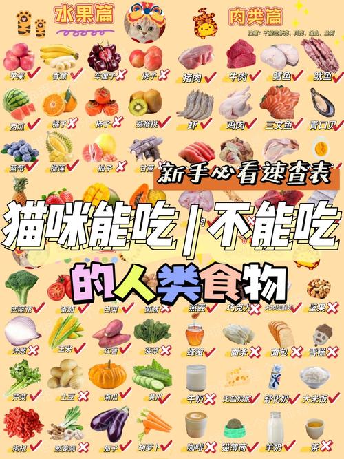 猫咪可以吃水煮蛋吗,猫咪能不能吃水煮鸡蛋-第2张图片-后鲨宠物 猫咪可以吃水煮蛋吗,猫咪能不能吃水煮鸡蛋-第2张图片-后鲨宠物