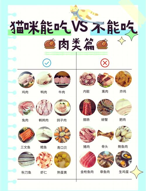 猫咪可以吃水煮蛋吗,猫咪能不能吃水煮鸡蛋-第5张图片-后鲨宠物 猫咪可以吃水煮蛋吗,猫咪能不能吃水煮鸡蛋-第5张图片-后鲨宠物