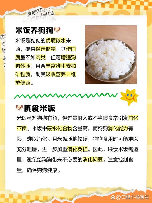 狗狗能吃小米吗,狗狗能吃小米粥吗?-第6张图片-后鲨宠物 狗狗能吃小米吗,狗狗能吃小米粥吗?-第6张图片-后鲨宠物