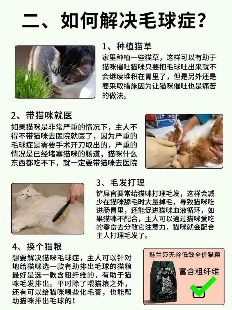 猫咪毛球症严重怎么办,猫咪毛球症有什么症状?-第5张图片-后鲨宠物 猫咪毛球症严重怎么办,猫咪毛球症有什么症状?-第5张图片-后鲨宠物