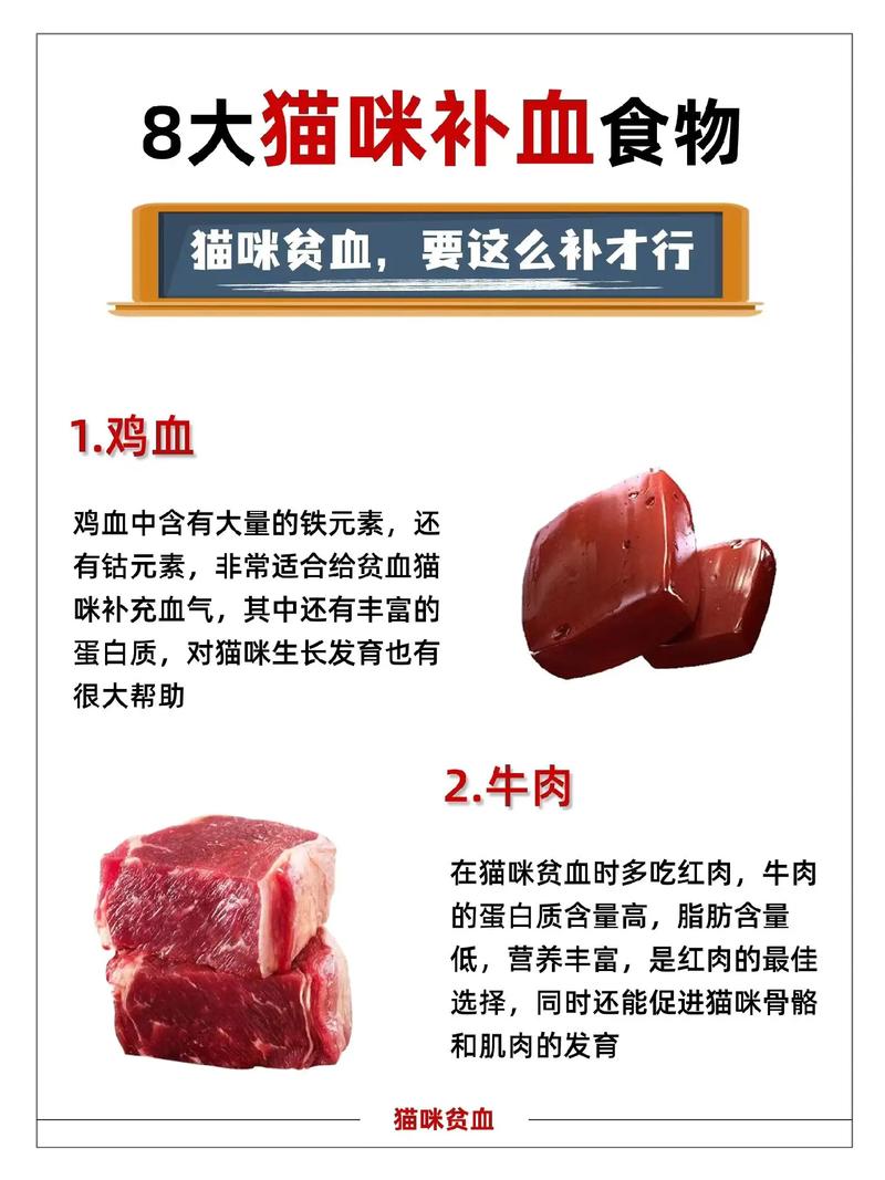猫咪补血吃什么，猫咪补血吃什么维生素？-第1张图片-后鲨宠物