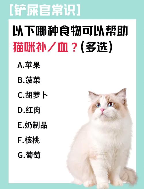 猫咪补血吃什么，猫咪补血吃什么维生素？-第3张图片-后鲨宠物