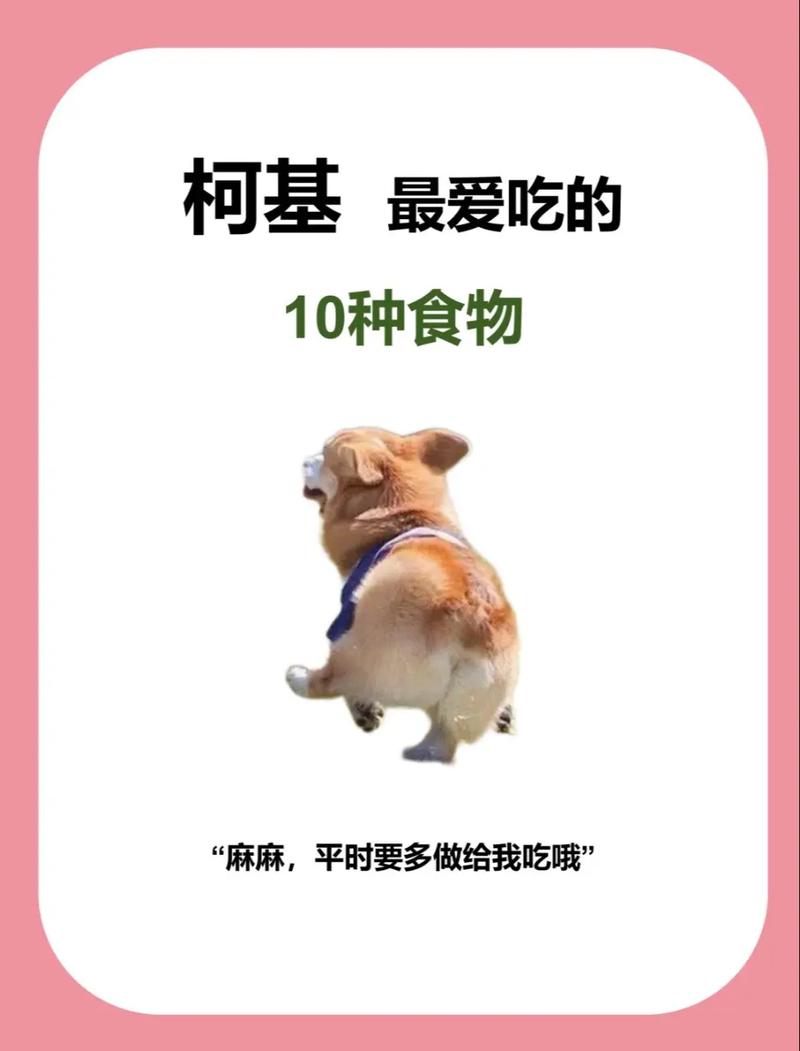 狗狗可以吃肉吗_狗狗可以吃肉吗有什么危害-第2张图片-后鲨宠物