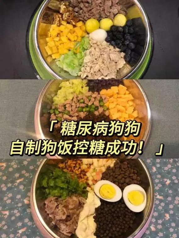 狗狗可以吃冰糖吗_狗狗可以吃冰糖吗?-第2张图片-后鲨宠物 狗狗可以吃冰糖吗_狗狗可以吃冰糖吗?-第2张图片-后鲨宠物