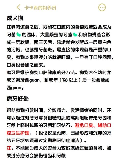 狗狗磨牙期是什么时候_狗狗磨牙时间-第3张图片-后鲨宠物 狗狗磨牙期是什么时候_狗狗磨牙时间-第3张图片-后鲨宠物