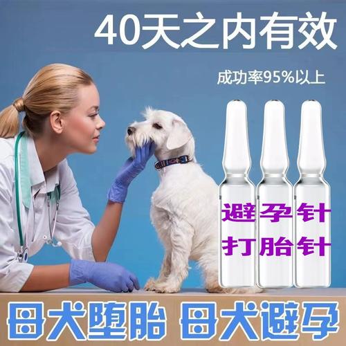 狗狗怀孕了怎么打胎_狗狗怀孕了怎么打胎多少钱-第1张图片-后鲨宠物 狗狗怀孕了怎么打胎_狗狗怀孕了怎么打胎多少钱-第1张图片-后鲨宠物
