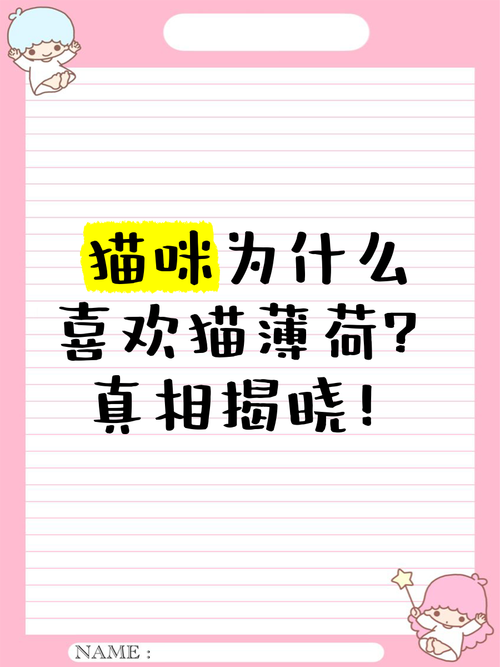 猫咪为什么喜欢薄荷，猫吃猫薄荷有什么作用？-第1张图片-后鲨宠物