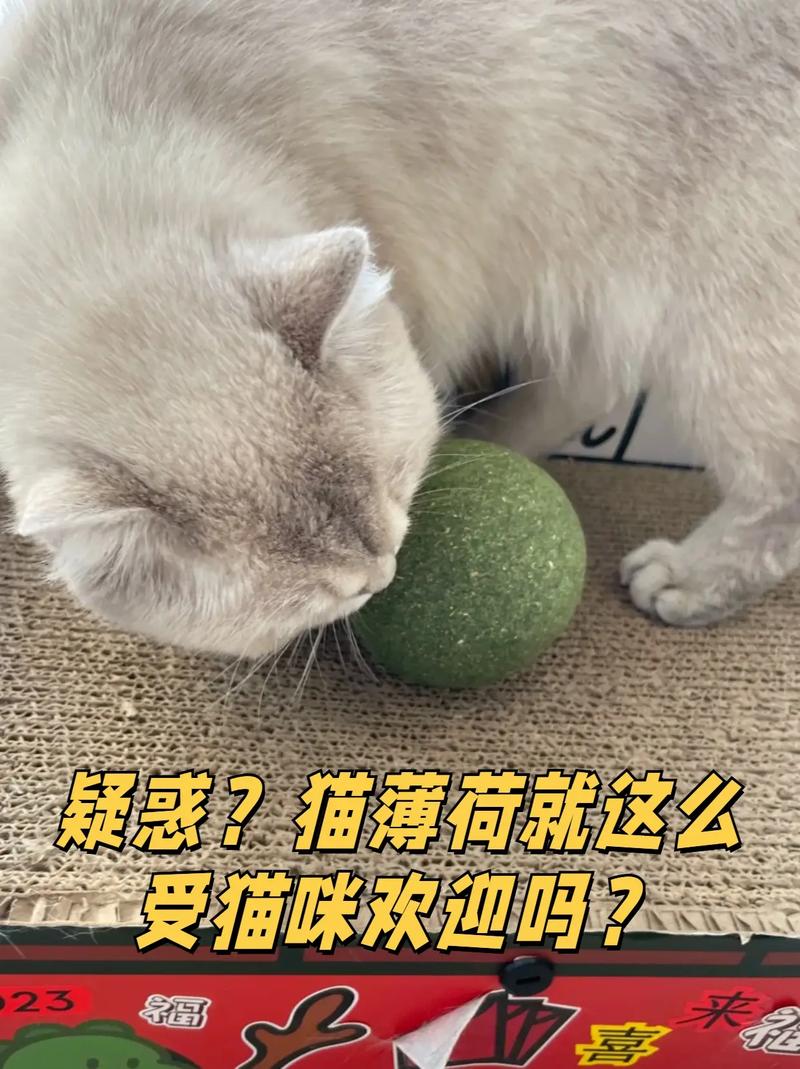 猫咪为什么喜欢薄荷，猫吃猫薄荷有什么作用？-第5张图片-后鲨宠物