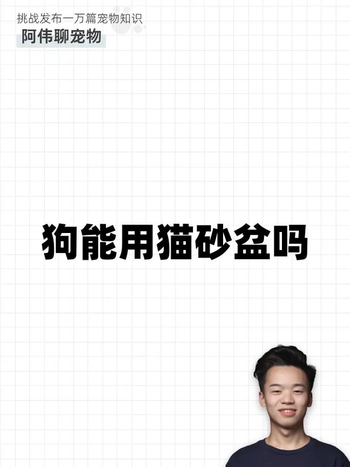 猫砂可以给狗狗用吗,猫砂狗能用不?-第4张图片-后鲨宠物 猫砂可以给狗狗用吗,猫砂狗能用不?-第4张图片-后鲨宠物