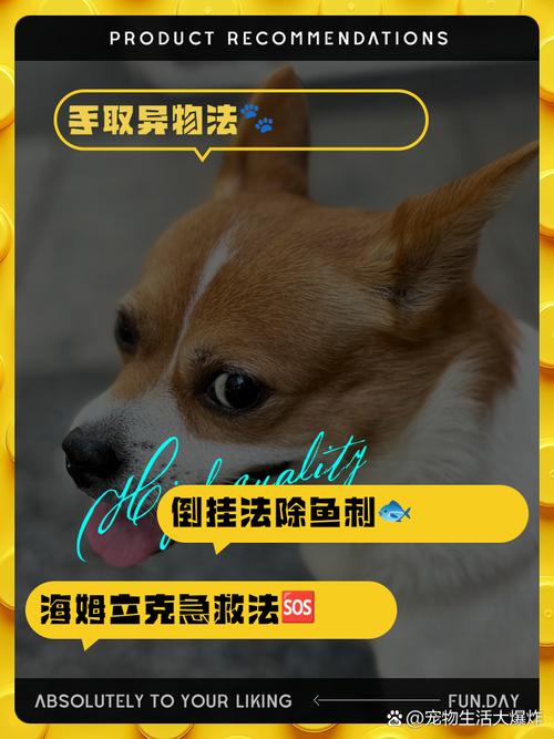 狗狗被鱼刺卡住的表现_狗狗被鱼刺卡住的表现是什么-第1张图片-后鲨宠物 狗狗被鱼刺卡住的表现_狗狗被鱼刺卡住的表现是什么-第1张图片-后鲨宠物