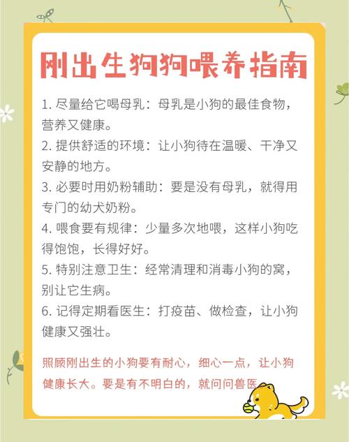 刚生下来的狗狗怎么养,刚出生的狗该怎么养?-第2张图片-后鲨宠物 刚生下来的狗狗怎么养,刚出生的狗该怎么养?-第2张图片-后鲨宠物