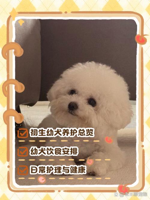 刚生下来的狗狗怎么养,刚出生的狗该怎么养?-第3张图片-后鲨宠物 刚生下来的狗狗怎么养,刚出生的狗该怎么养?-第3张图片-后鲨宠物