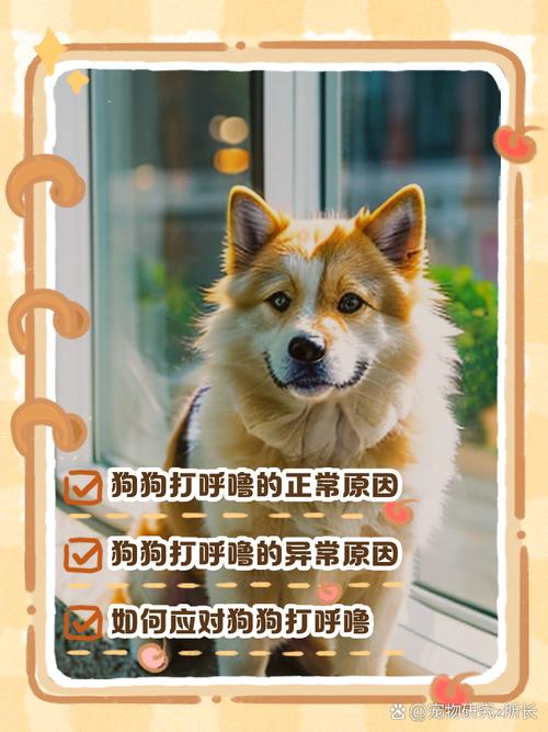 狗狗打呼噜怎么回事_狗打呼噜咋回事-第1张图片-后鲨宠物 狗狗打呼噜怎么回事_狗打呼噜咋回事-第1张图片-后鲨宠物