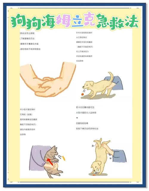 狗狗尿不出来紧急办法_狗狗尿不下来-第4张图片-后鲨宠物 狗狗尿不出来紧急办法_狗狗尿不下来-第4张图片-后鲨宠物