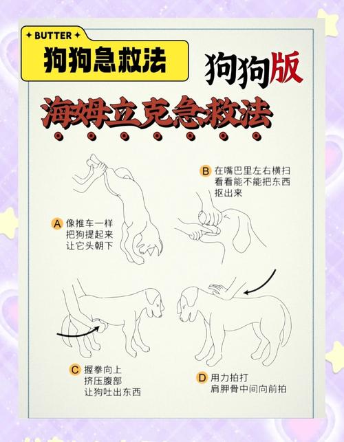 狗狗尿不出来紧急办法_狗狗尿不下来-第5张图片-后鲨宠物 狗狗尿不出来紧急办法_狗狗尿不下来-第5张图片-后鲨宠物