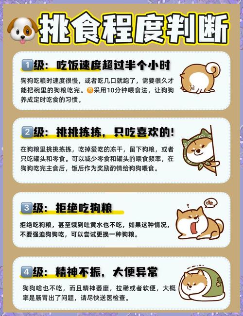 狗狗可以不吃狗粮吗,宠物狗能不吃狗粮吗-第6张图片-后鲨宠物 狗狗可以不吃狗粮吗,宠物狗能不吃狗粮吗-第6张图片-后鲨宠物