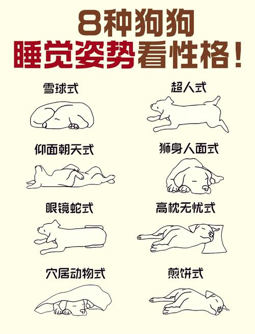 怎样让狗狗睡觉,怎样让狗狗睡觉不粘人?-第1张图片-后鲨宠物 怎样让狗狗睡觉,怎样让狗狗睡觉不粘人?-第1张图片-后鲨宠物