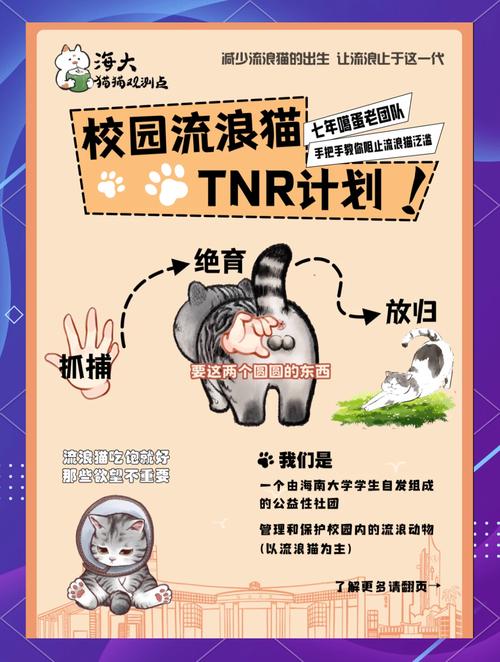 猫咪怎么带回家_猫咪如何带回家-第1张图片-后鲨宠物