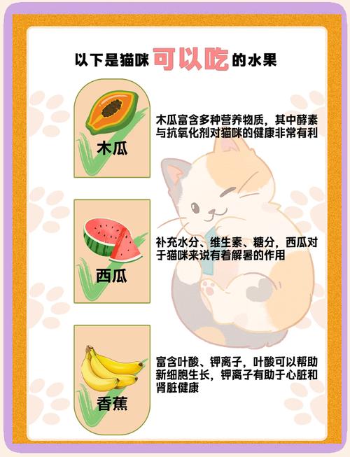 猫咪能吃什么水果,幼猫能吃什么水果-第3张图片-后鲨宠物 猫咪能吃什么水果,幼猫能吃什么水果-第3张图片-后鲨宠物
