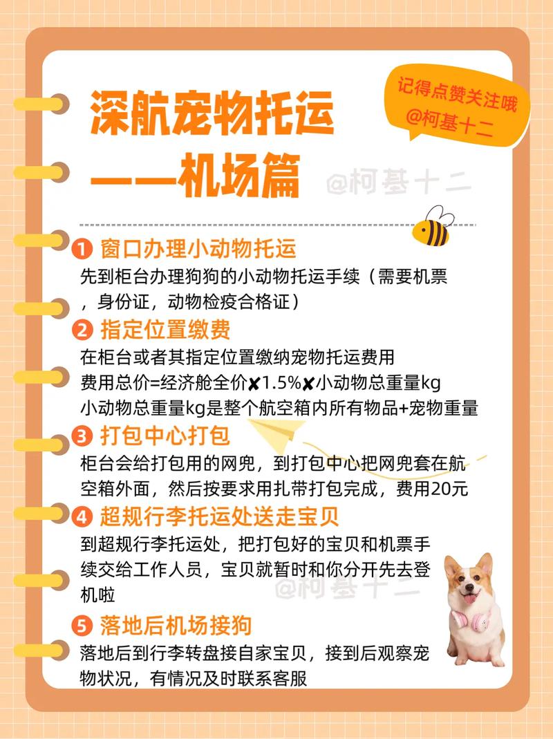 坐飞机托运狗狗多少钱_飞机托运狗狗费用表-第2张图片-后鲨宠物