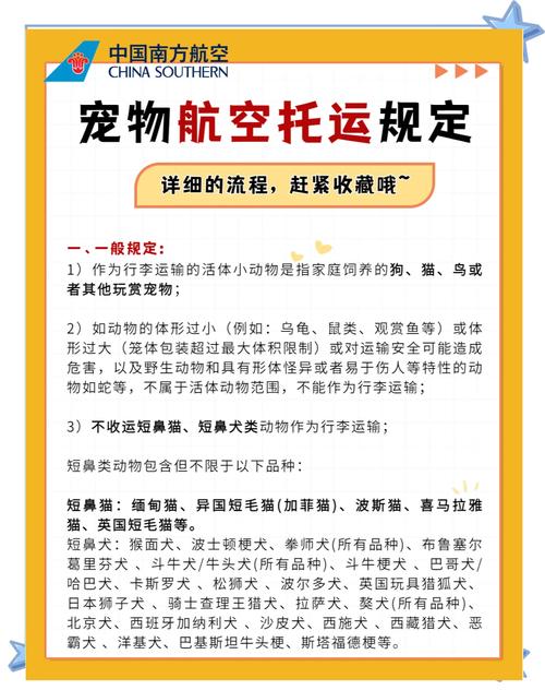 坐飞机托运狗狗多少钱_飞机托运狗狗费用表-第4张图片-后鲨宠物