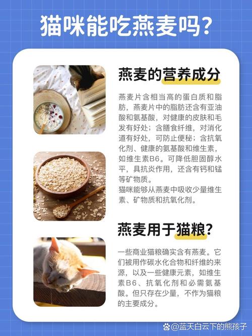 猫咪可以吃麦片吗,小猫咪能吃麦片吗?-第3张图片-后鲨宠物 猫咪可以吃麦片吗,小猫咪能吃麦片吗?-第3张图片-后鲨宠物