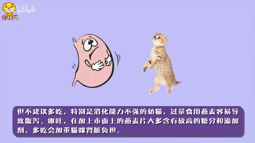 猫咪可以吃麦片吗,小猫咪能吃麦片吗?-第5张图片-后鲨宠物 猫咪可以吃麦片吗,小猫咪能吃麦片吗?-第5张图片-后鲨宠物