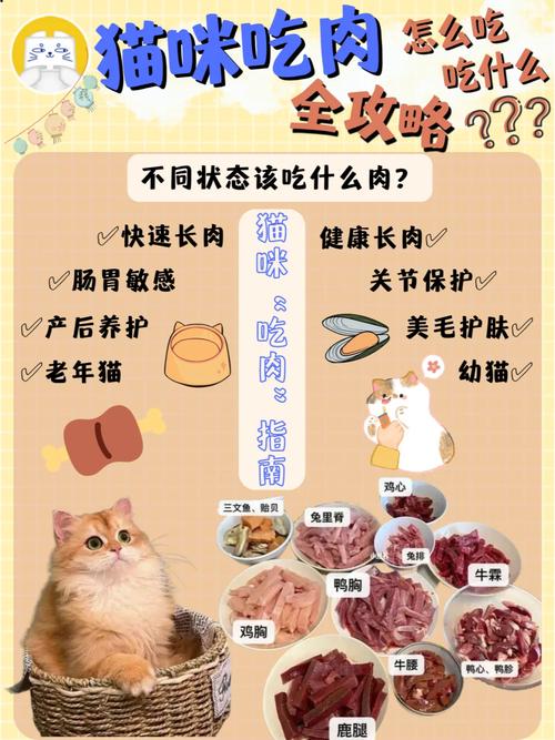猫咪多大可以吃肉,猫咪多大能吃肉-第4张图片-后鲨宠物 猫咪多大可以吃肉,猫咪多大能吃肉-第4张图片-后鲨宠物