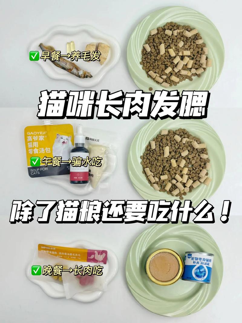 猫咪多大可以吃肉,猫咪多大能吃肉-第5张图片-后鲨宠物 猫咪多大可以吃肉,猫咪多大能吃肉-第5张图片-后鲨宠物