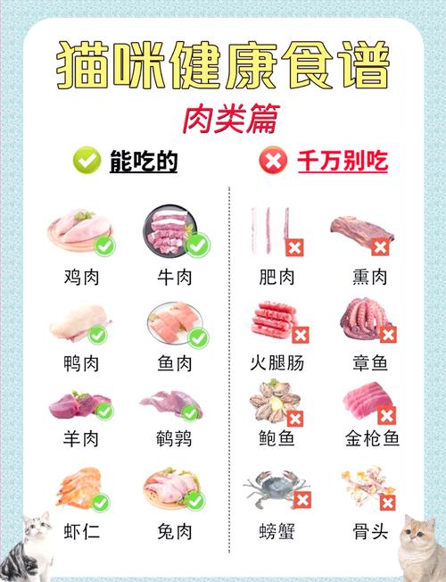 猫咪多大可以吃肉,猫咪多大能吃肉-第6张图片-后鲨宠物 猫咪多大可以吃肉,猫咪多大能吃肉-第6张图片-后鲨宠物