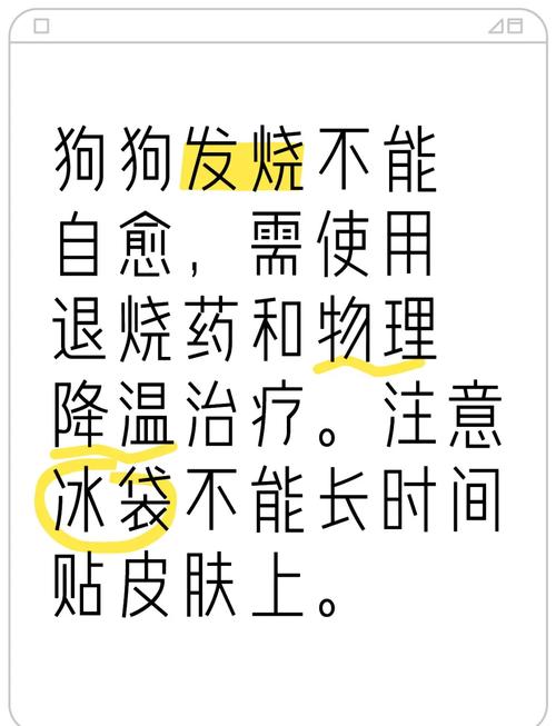 狗狗发烧会自己好吗,狗狗发烧会自己痊愈吗?-第1张图片-后鲨宠物 狗狗发烧会自己好吗,狗狗发烧会自己痊愈吗?-第1张图片-后鲨宠物