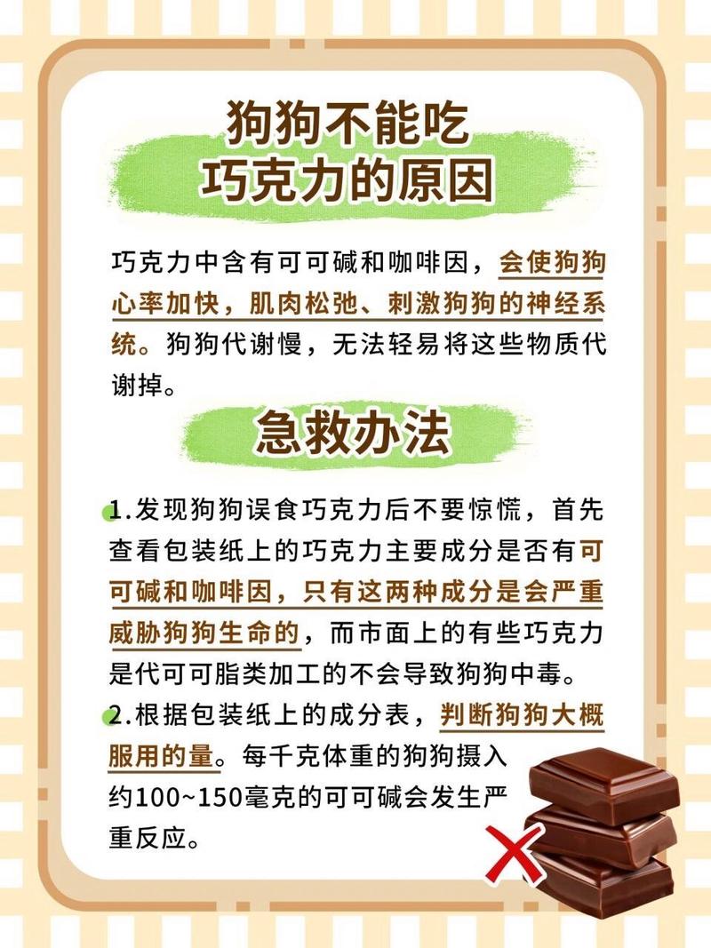 狗狗吃了巧克力怎么办_狗狗吃了巧克力怎么办在家怎么样治疗-第4张图片-后鲨宠物
