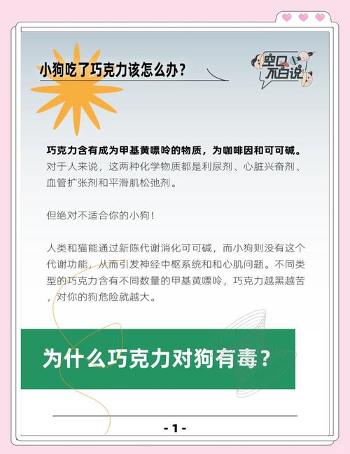狗狗吃了巧克力怎么办_狗狗吃了巧克力怎么办在家怎么样治疗-第5张图片-后鲨宠物