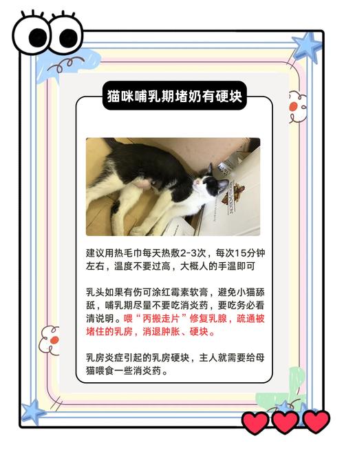 猫咪涨奶最快解决办法,猫咪涨奶该怎么办-第1张图片-后鲨宠物 猫咪涨奶最快解决办法,猫咪涨奶该怎么办-第1张图片-后鲨宠物