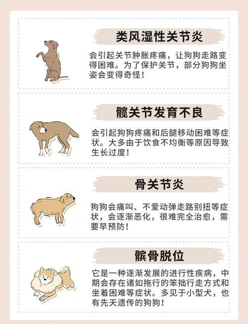 狗狗哪种坐姿不正常,狗狗坐姿不正确怎么纠正?-第5张图片-后鲨宠物 狗狗哪种坐姿不正常,狗狗坐姿不正确怎么纠正?-第5张图片-后鲨宠物