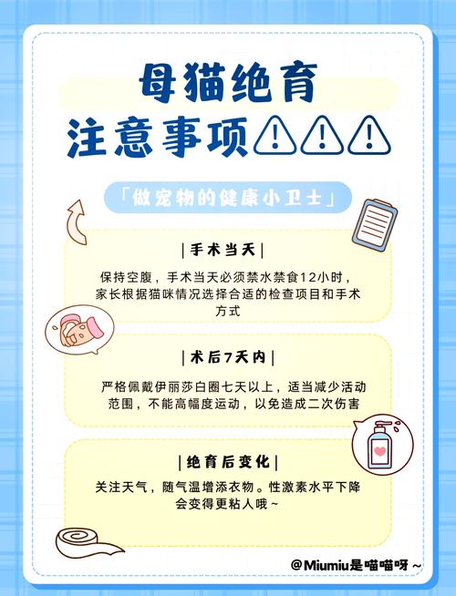 猫咪不做绝育会怎样的简单介绍-第4张图片-后鲨宠物 猫咪不做绝育会怎样的简单介绍-第4张图片-后鲨宠物