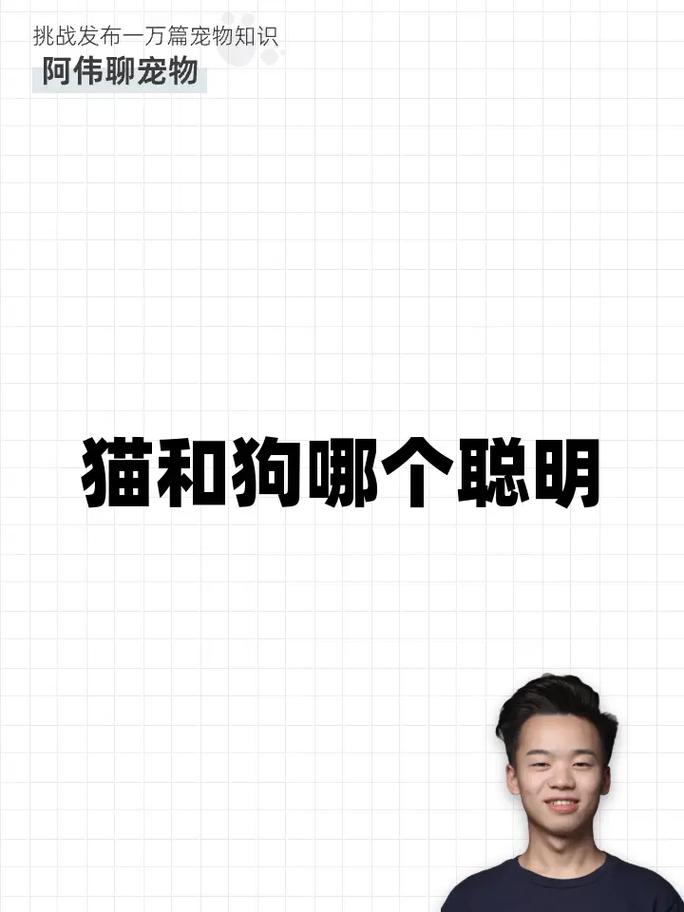 猫咪和狗狗哪个更聪明,猫猫和狗狗哪个聪明-第2张图片-后鲨宠物 猫咪和狗狗哪个更聪明,猫猫和狗狗哪个聪明-第2张图片-后鲨宠物