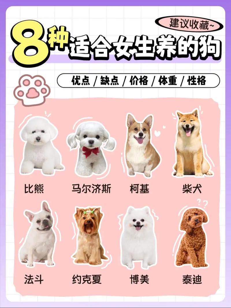 适合陪伴小孩子的狗狗_最适合陪伴孩子的犬种-第1张图片-后鲨宠物 适合陪伴小孩子的狗狗_最适合陪伴孩子的犬种-第1张图片-后鲨宠物