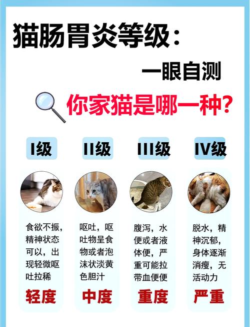 猫咪得了肠胃炎怎么办_猫咪得肠胃炎怎么调理-第1张图片-后鲨宠物 猫咪得了肠胃炎怎么办_猫咪得肠胃炎怎么调理-第1张图片-后鲨宠物