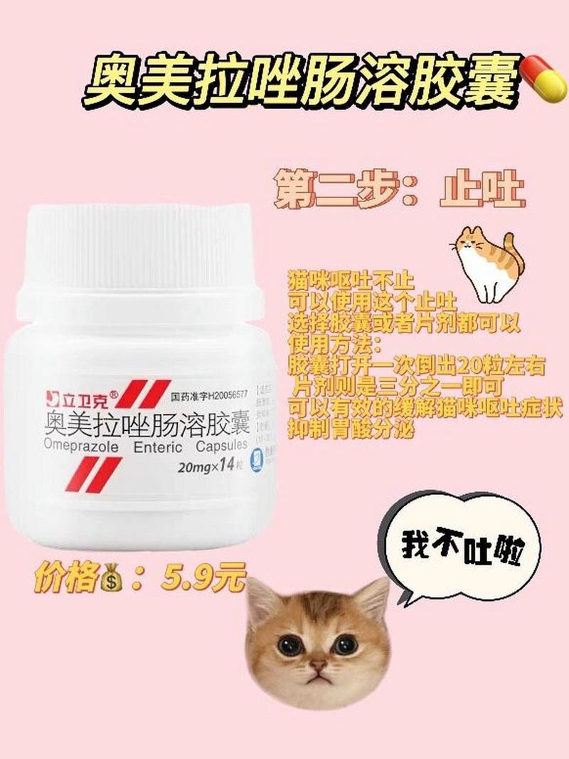 猫咪得了肠胃炎怎么办_猫咪得肠胃炎怎么调理-第4张图片-后鲨宠物 猫咪得了肠胃炎怎么办_猫咪得肠胃炎怎么调理-第4张图片-后鲨宠物